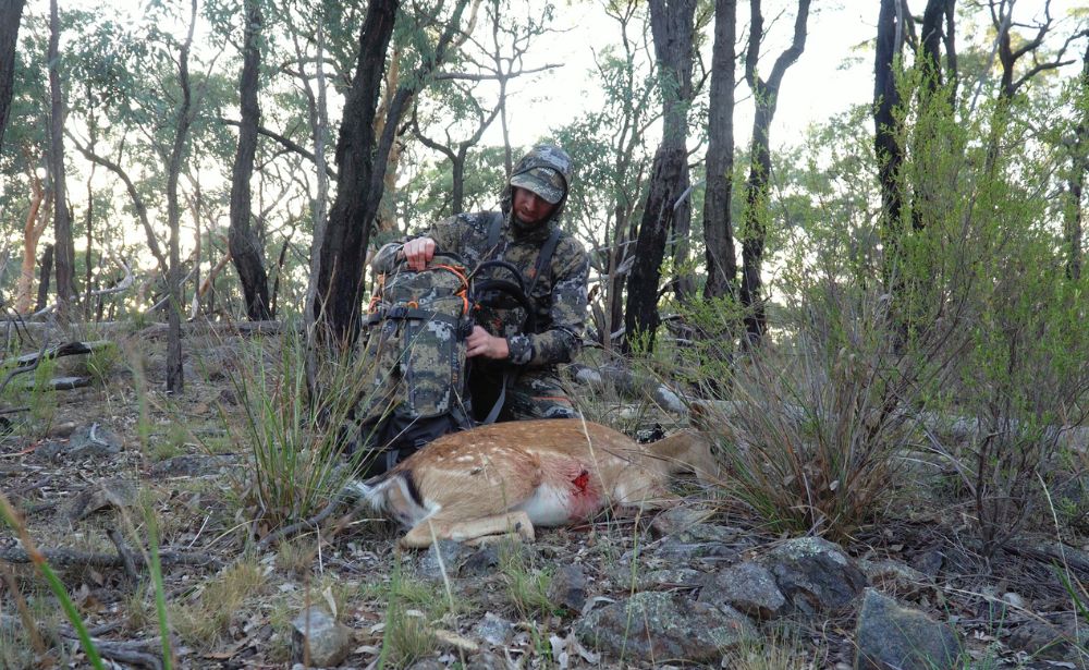 Kristian Gerathy: Hunting Fallow Deer in the Central Tablelands