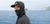 Performance Fishing Gear