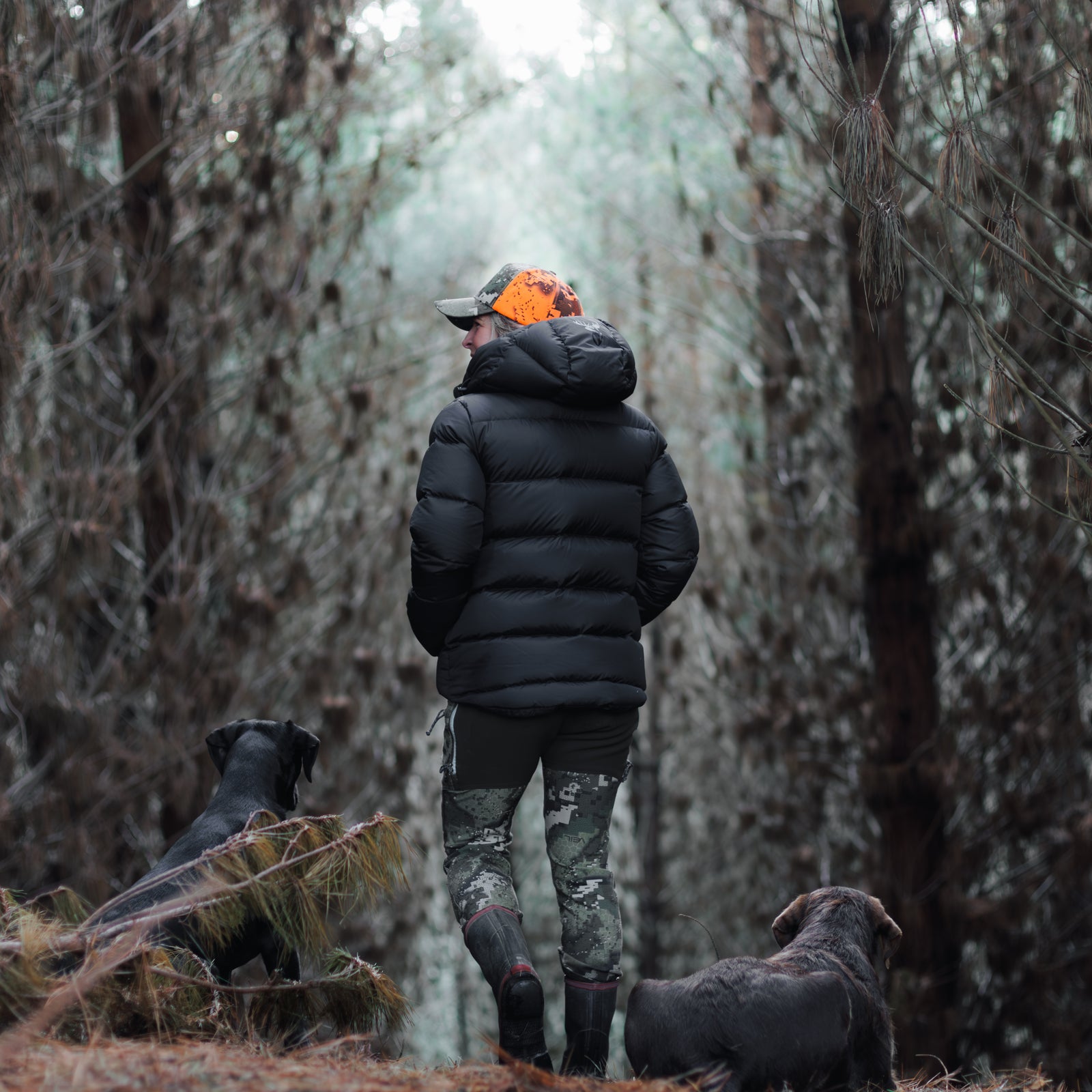 Glacier Jacket Women's